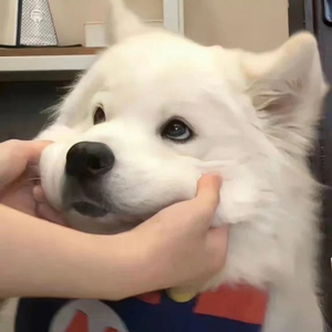 射精汇编老太太hd
